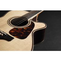 Takamine Nex Cutaway Electro P10NC - Vue 5